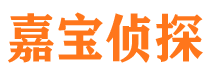 新河市私家侦探